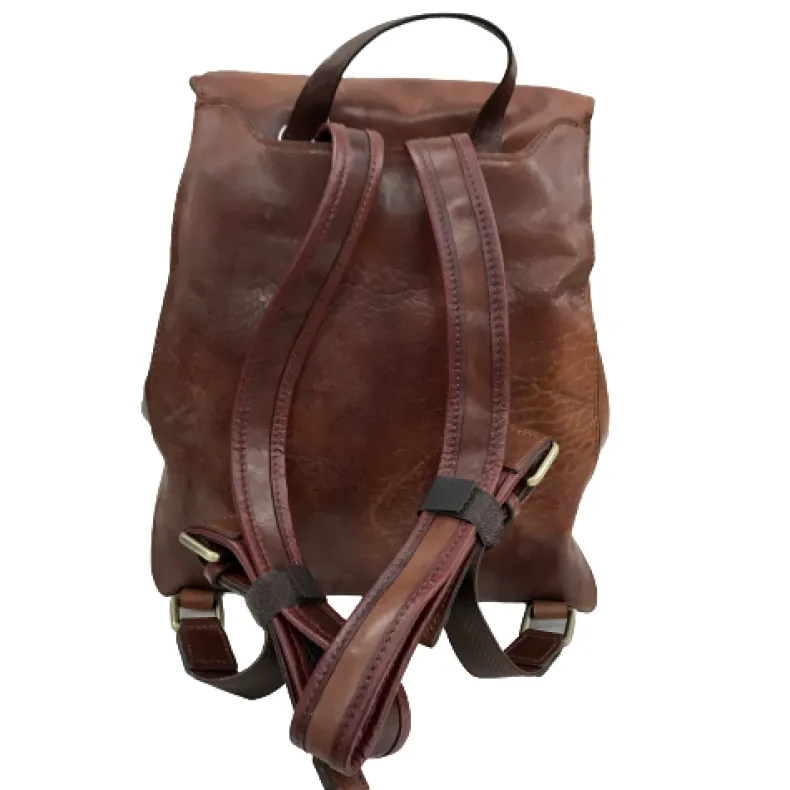 Brown Backpack With Padded Shoulder Straps